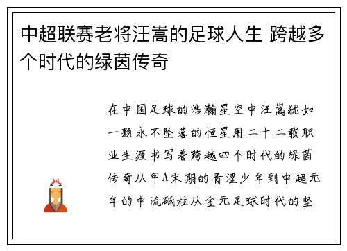 中超联赛老将汪嵩的足球人生 跨越多个时代的绿茵传奇
