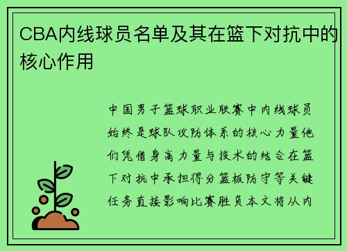 CBA内线球员名单及其在篮下对抗中的核心作用